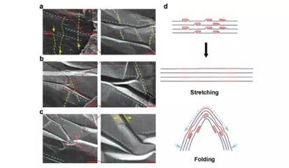浙大研发新型石墨烯膜材料 柔性导热双突破，破解世界难题引领产业变革